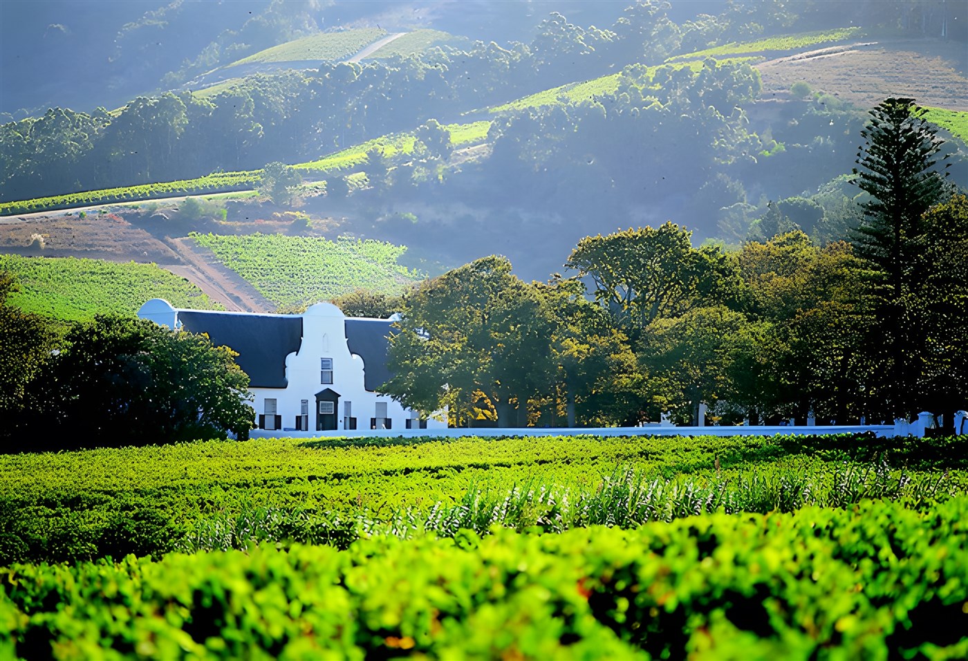 Winelands