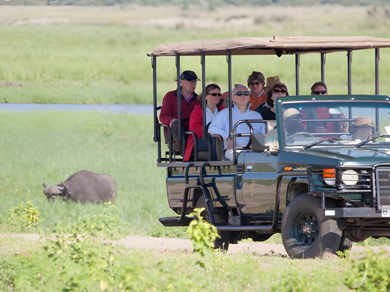 Chobe Game Drive