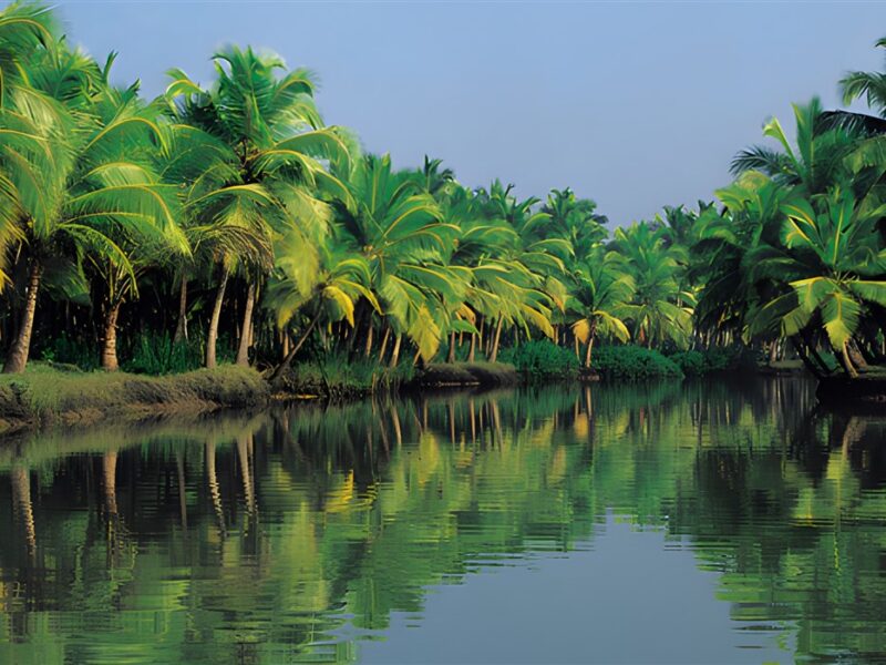Backwaters