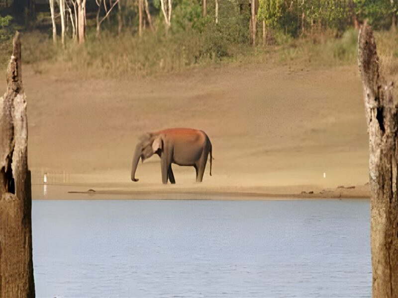 Lake Periyar