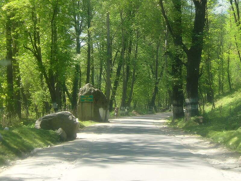 Beautiful walks