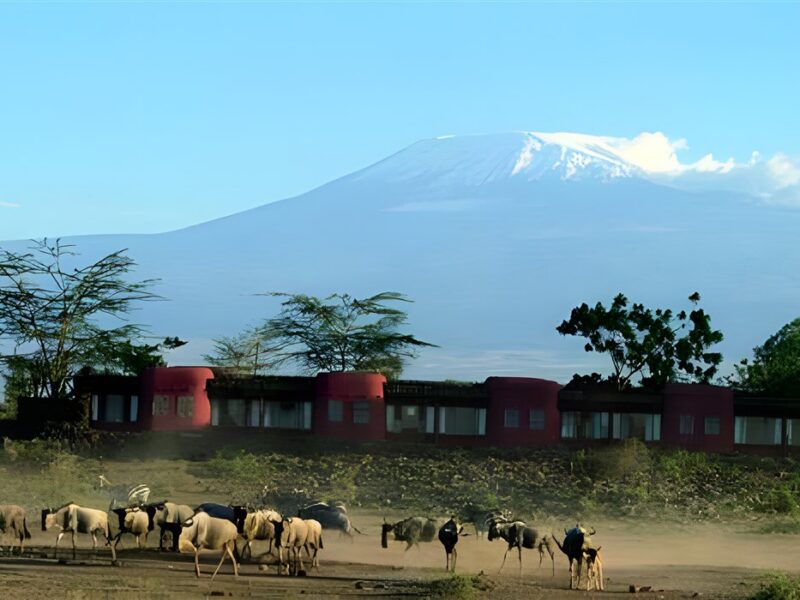 Amboseli Serena Lodge