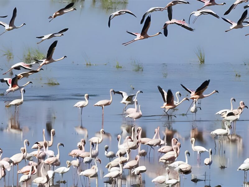Lake Manyara