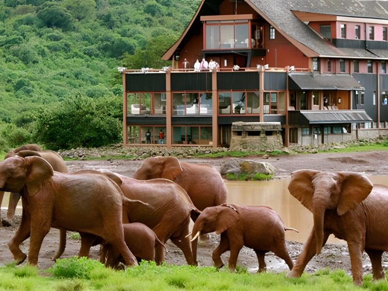 Ark Lodge