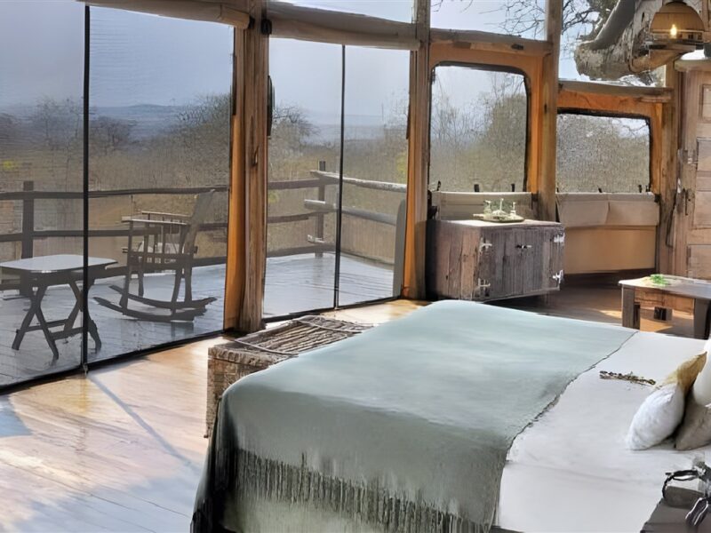 Tarangire Treetops