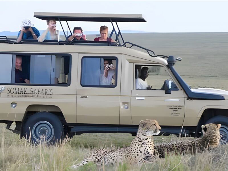 Game drive