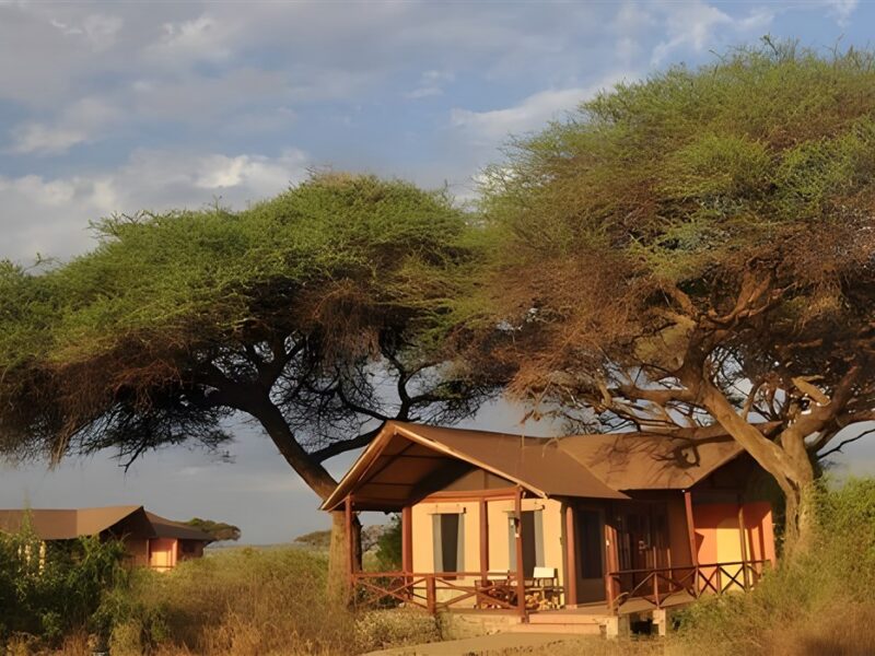 Kilima Safari Camp - Amboseli