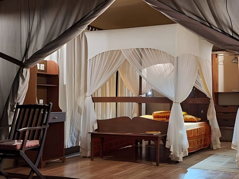 Fig Tree Camp - Masai Mara
