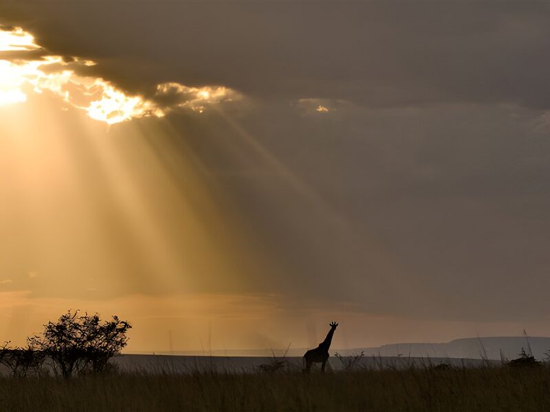 Mara sunset