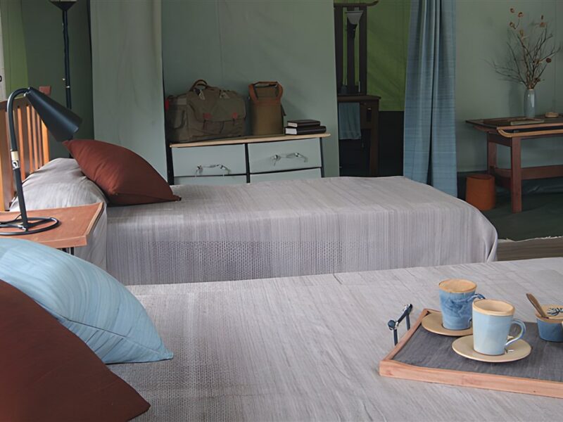 Porini Lion Camp