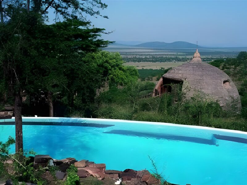 Serena Serengeti