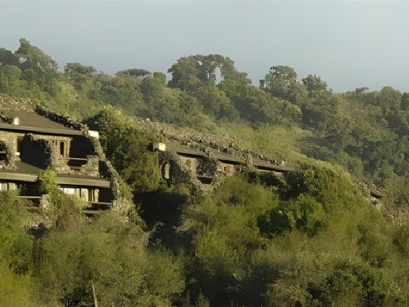 Ngorongoro Serena