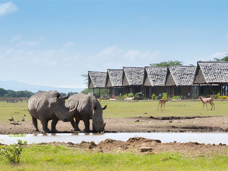 Sweetwaters Serena Camp