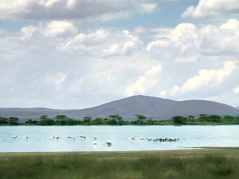 Lake Elmenteita