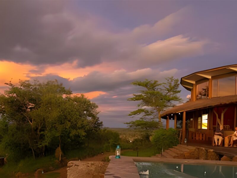 Serengeti Simba Lodge