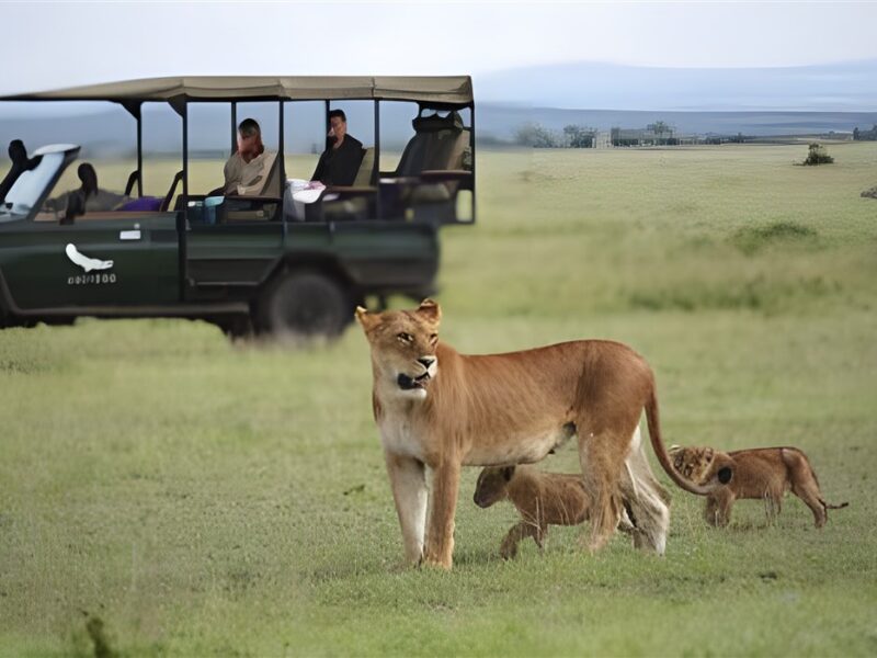 Game drive