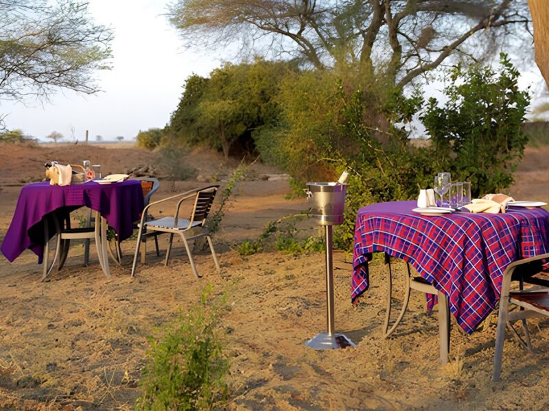 Bush dinner