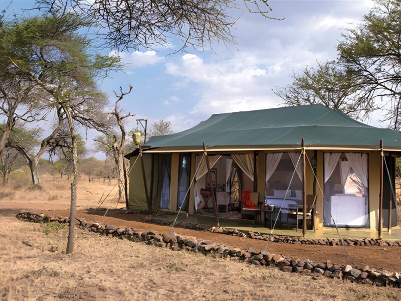 Ole Serai Luxury Camp, Moru Kopjes