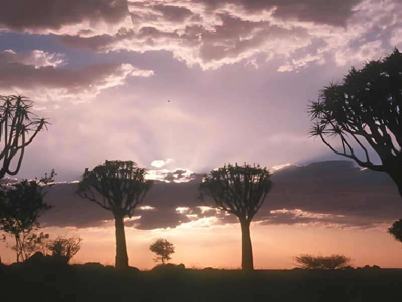 Beautiful sunset