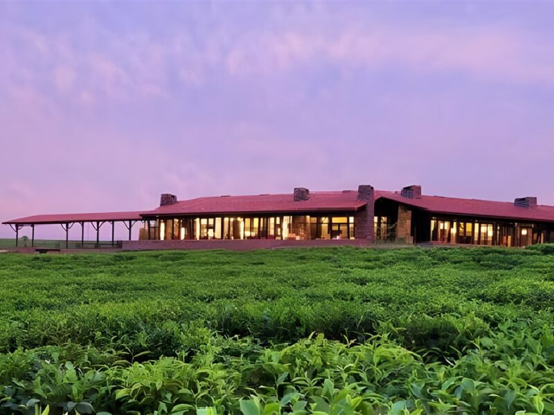 Nyungwe Forest Lodge