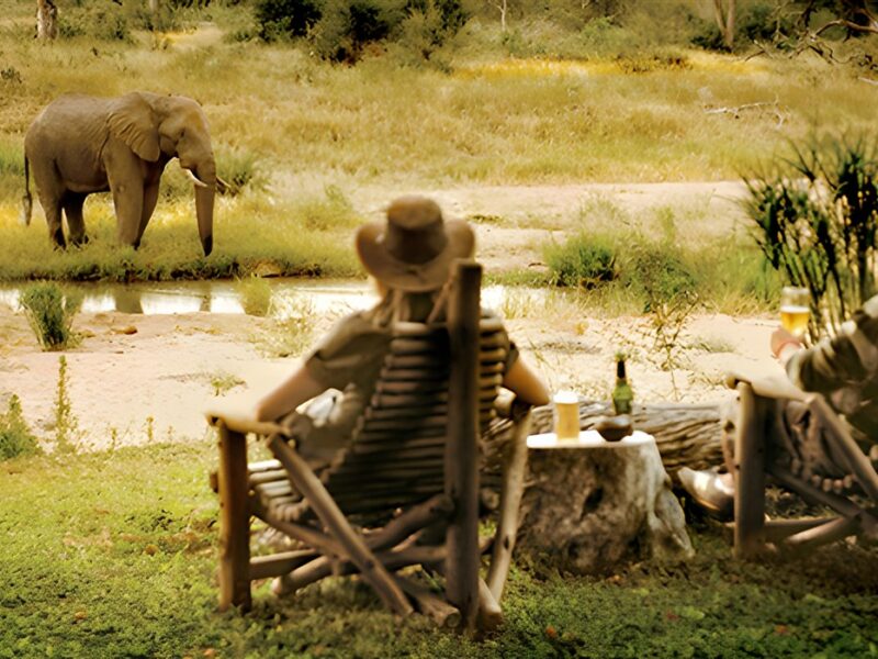 Motswari Private Game Reserve