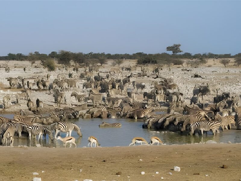 Etosha