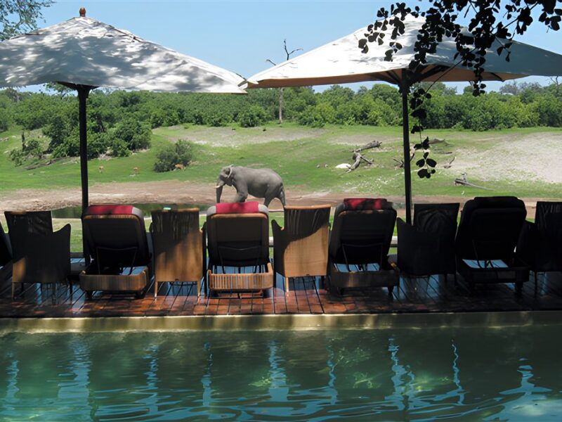 Savute Safari Lodge