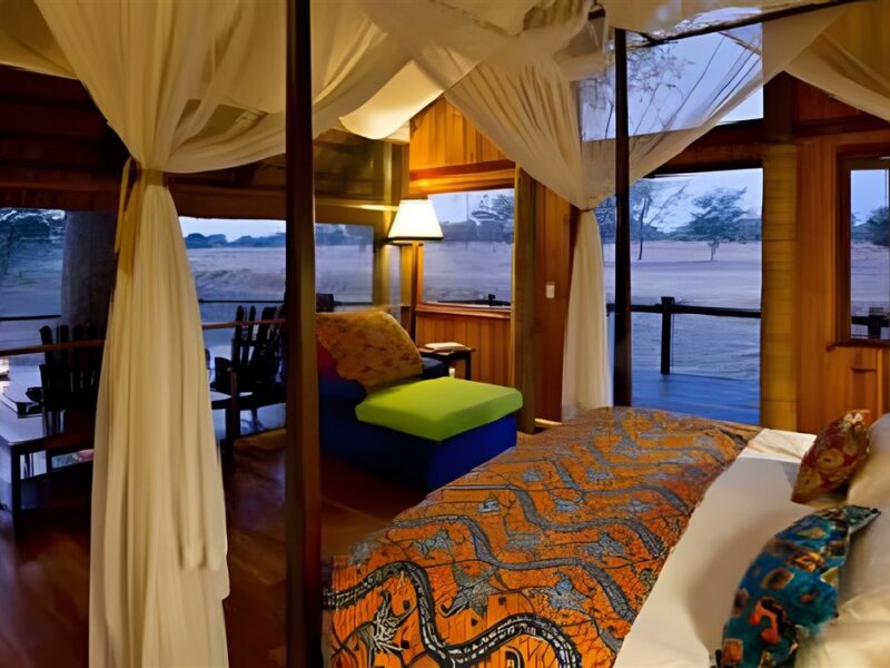 Lion Camp