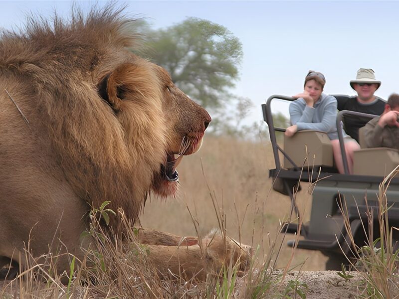 Idube Game Drive