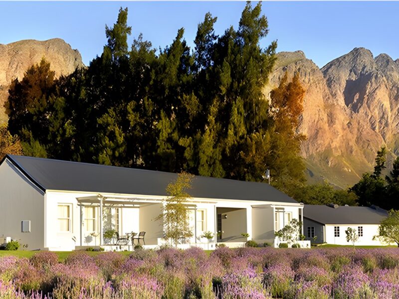 Lavender Farm Guest House