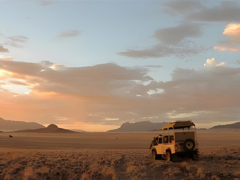 Game Drive in Namib Rand