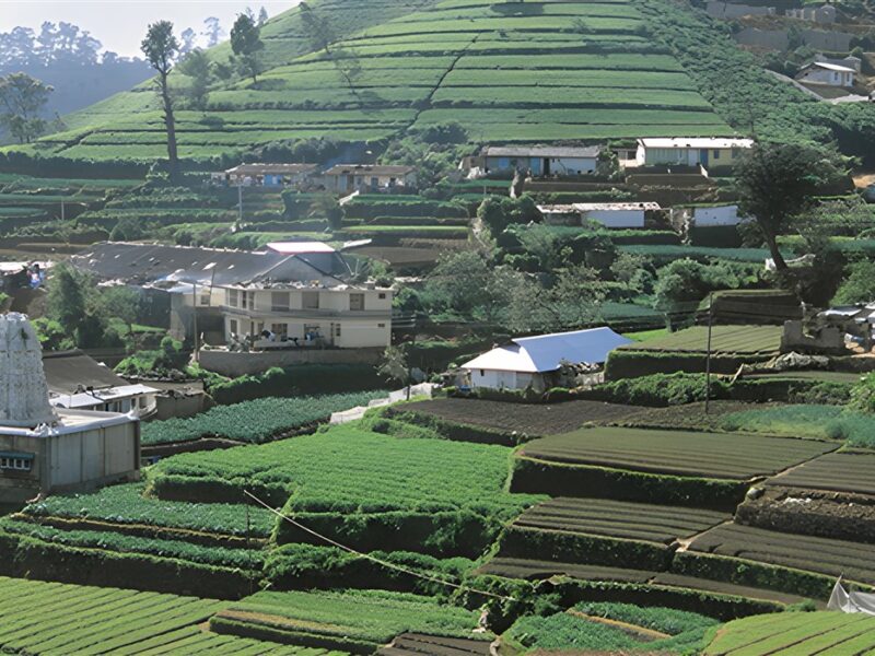 Nuwara Eliya