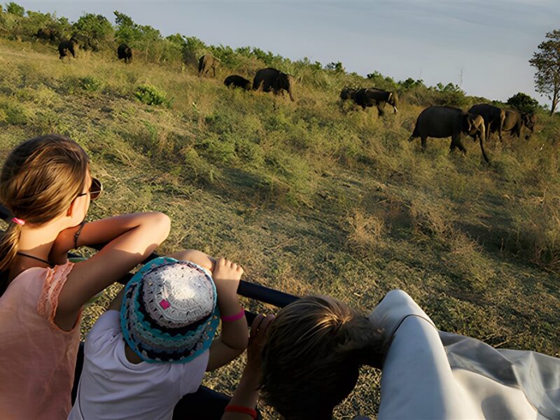 Udawalawe National Park