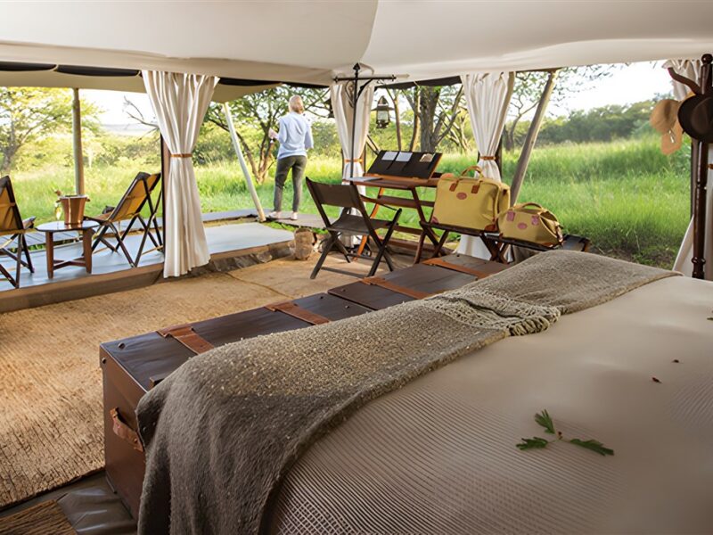 Serengeti Pioneer Camp