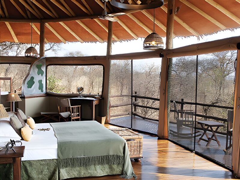 Tarangire Treetops