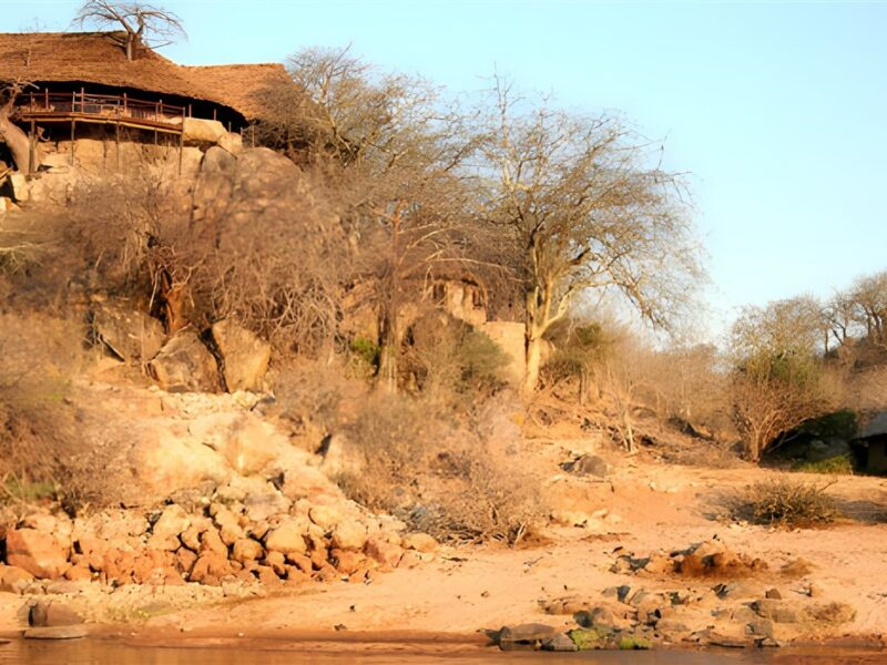 Ruaha River Lodge