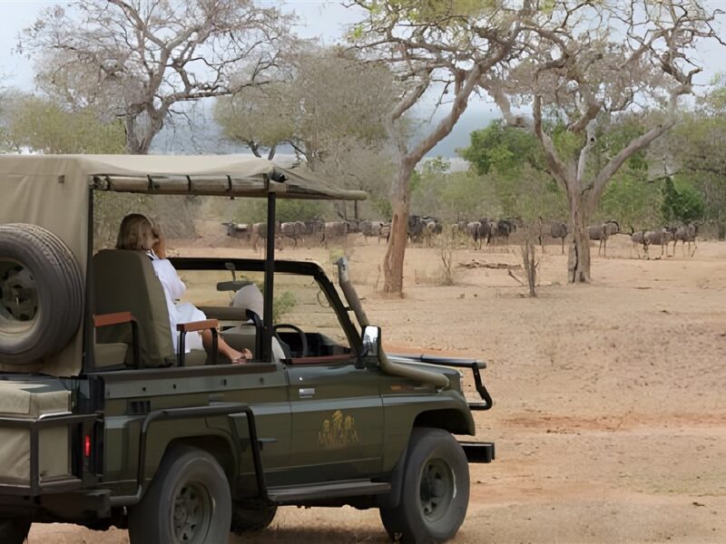 Game drive