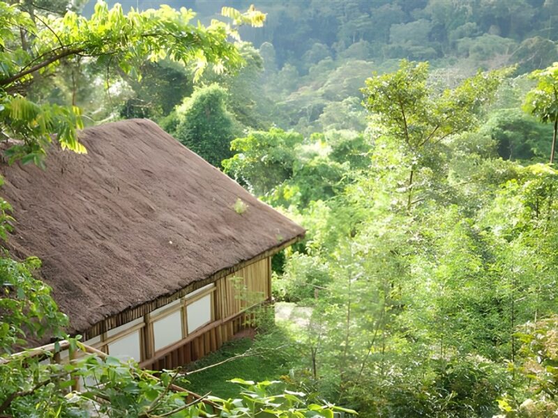 Scenic view