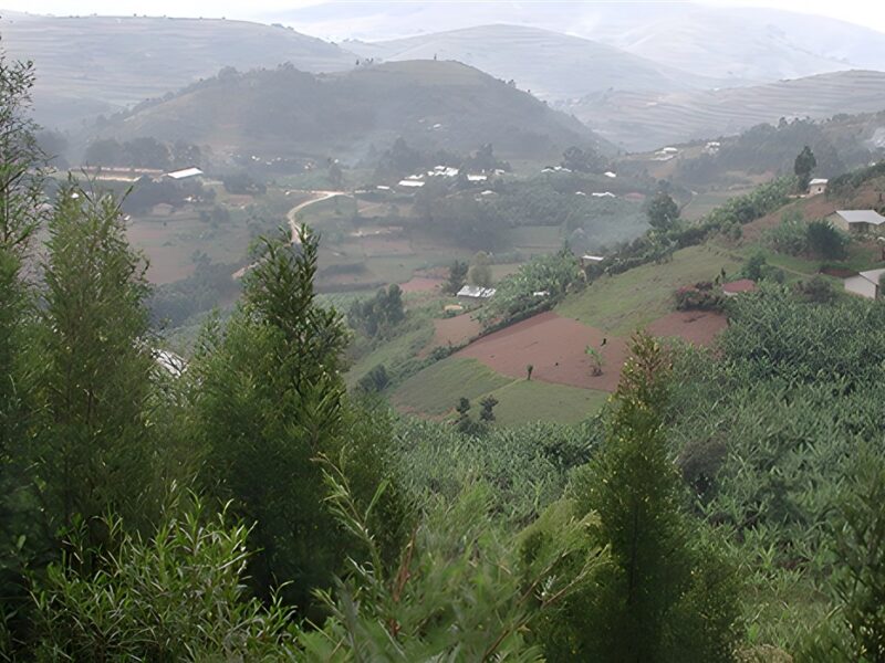 Beautiful scenery