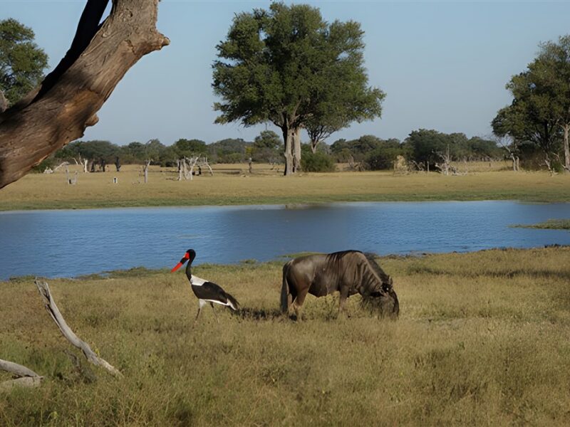 Hwange National Park