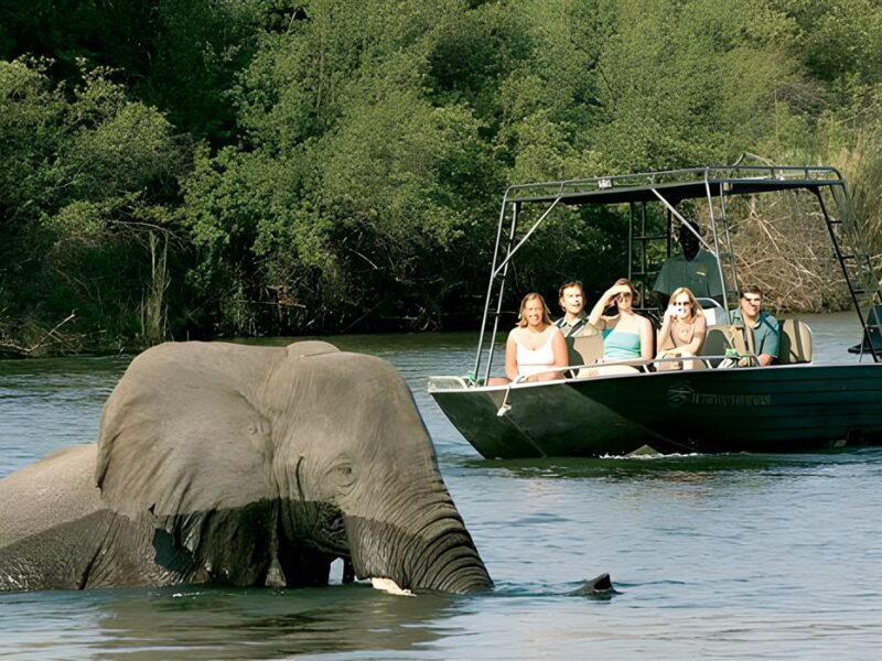 River safari
