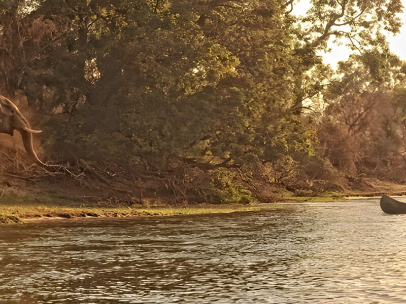 Canoeing on the Zambezi