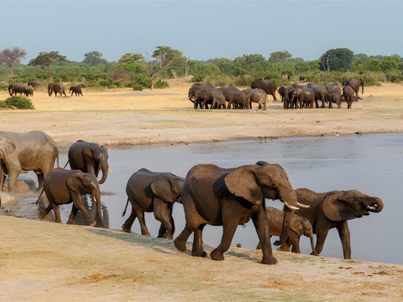 Hwangwe National Park