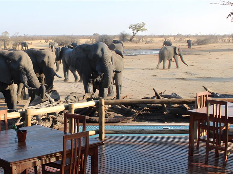 Nehimba Safari Camp