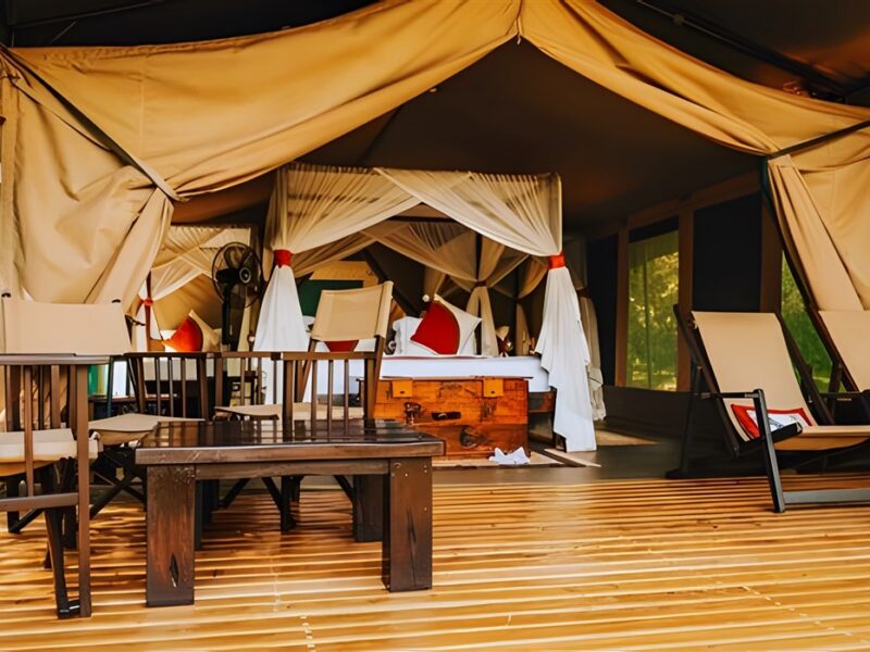  Family Tent