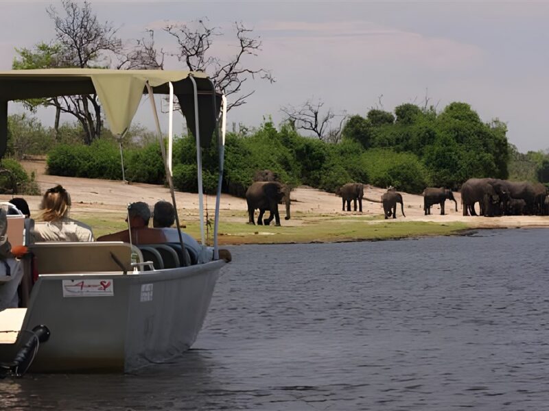 Boat trip on the river