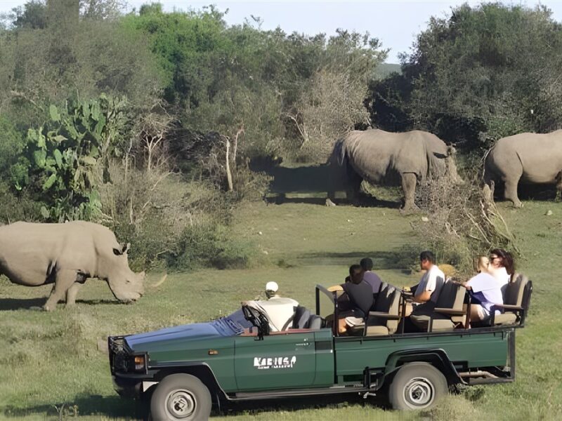 Game drive