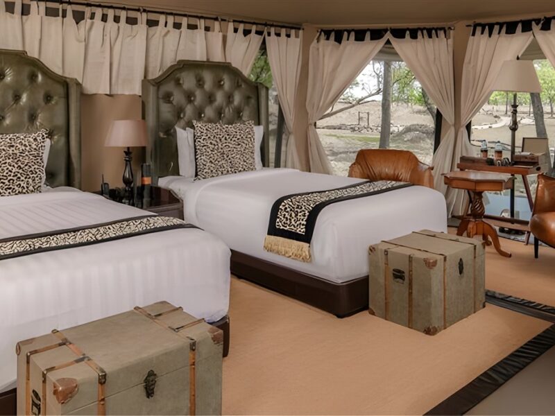 Luxury Twin Tent