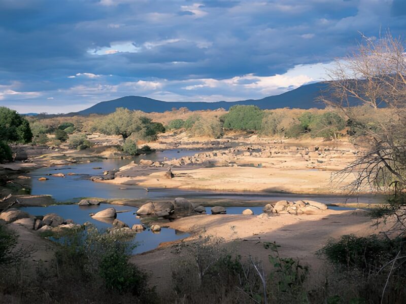 Ruaha River