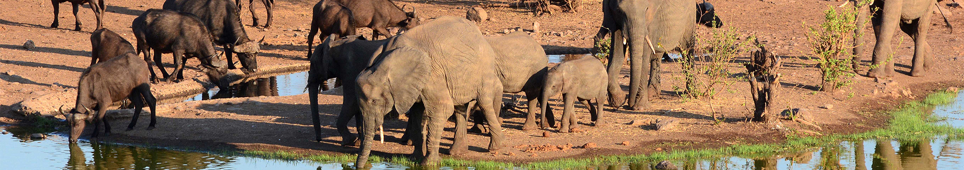 Hwange National Park